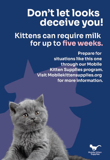 This is a vertical banner advertisement with a gray kitten photo on the 
				bottom left. The background is navy blue, with a faded out headshot of the 
				Mobile Kitten Supplies logo that's facing towards the right instead of the left
				like it normally would. 
				
				Towards the top of the banner advertisement is the phrase, in white text, 
				Don't let looks deceive you! Below that phrase is, Kittens can require 
				milk for up to five weeks. Five weeks is pink in color. Under that text 
				are the words, Prepare for situations like this one through our Mobile 
				Kitten Supplies program. Visit Mobilekittensupplies.org for more information.
				
				Finally, at the bottom right, is the Mobile Kitten Supplies logo, but it's white.